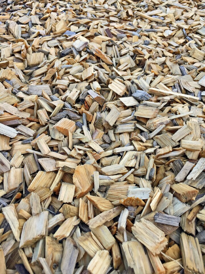 Texture wood ground