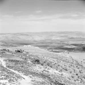 In de omgeving van Jericho. Uitzicht vanaf de berg Nebi Yoesha, Bestanddeelnr 255-5665