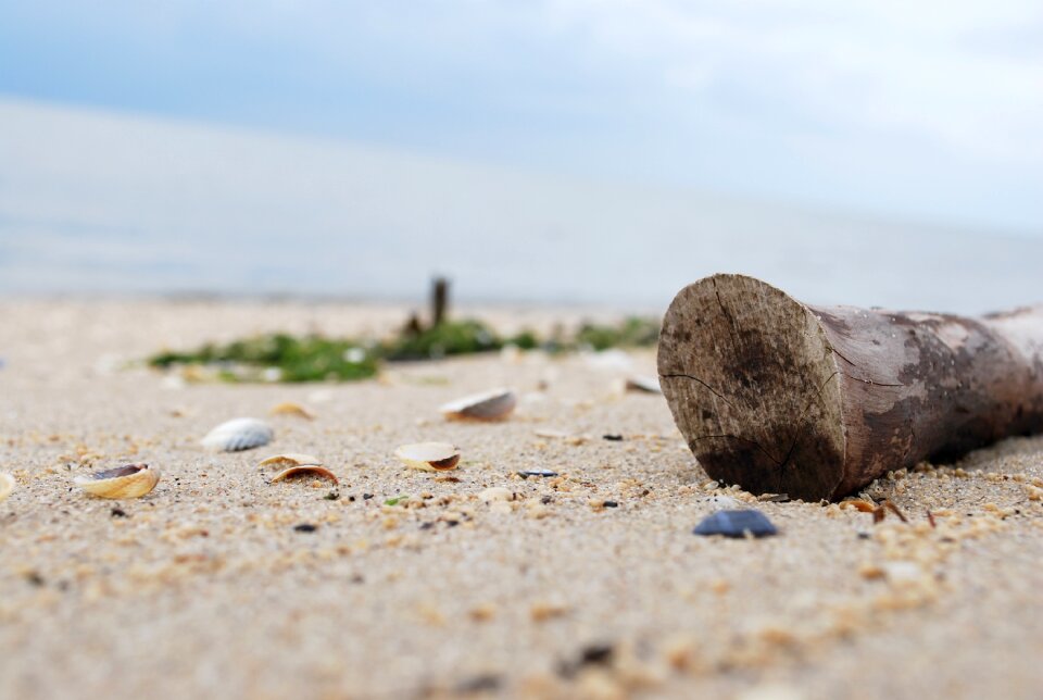 Beach sand nature