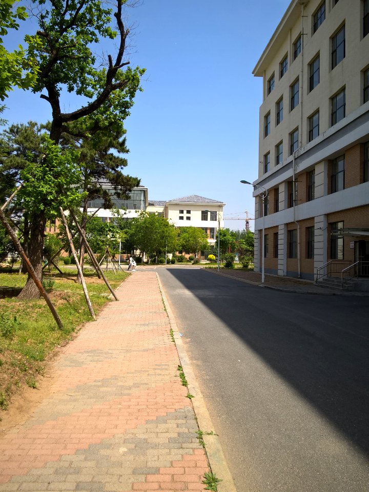 In the new campus of Tieling High School 18