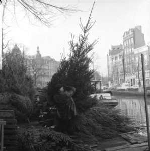 In Amsterdam de eerste kerstbomen aangevoerd De bloemenmarkt aan de Singel, Bestanddeelnr 915-8143