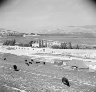 In de omgeving van Nablus, Bestanddeelnr 255-5573