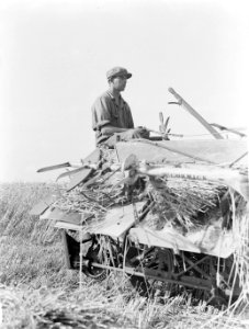 In de Purmer. Maaimachine voor graan getrokken door paarden die het graan tevens, Bestanddeelnr 189-0670