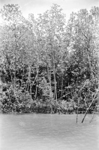 Indonesië, Bestanddeelnr 1559-5-3