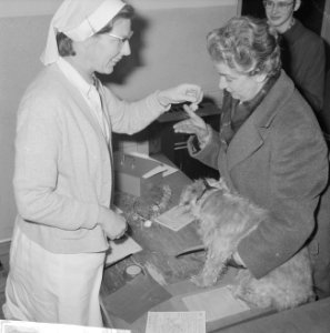 Inenting honden in Amsterdam, Bestanddeelnr 914-5810