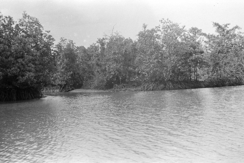 Indonesië, Bestanddeelnr 1559-1-1