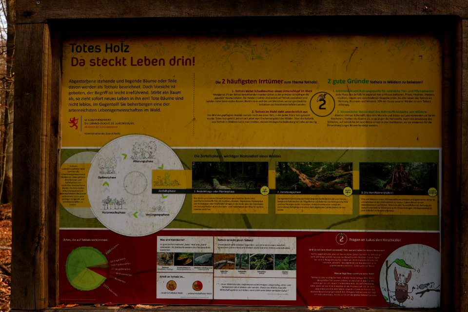 Info board Totes Holz Niederanven