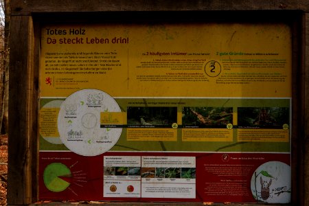 Info board Totes Holz Niederanven