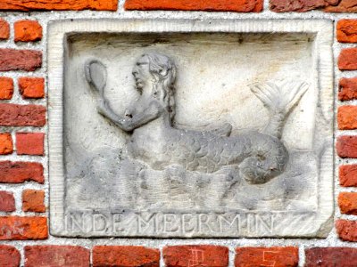 In de meermin Wierdijk20 Enkhuizen