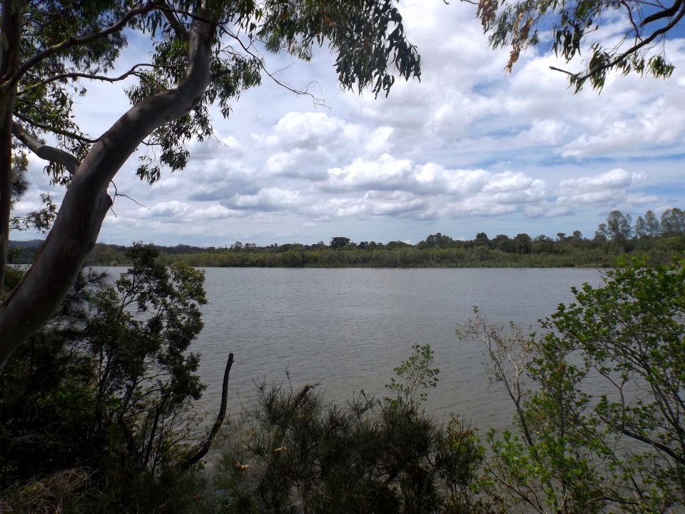 Indooroopilly Island Conservation Park