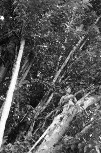 Indonesië, Bestanddeelnr 1552-2-1