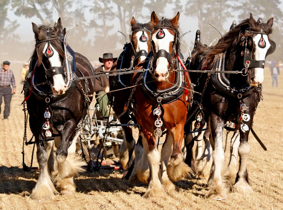 Agriculture team teamwork