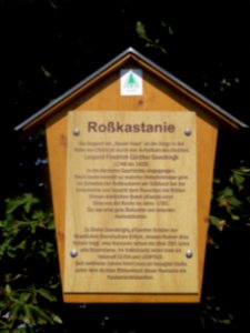 Info tree Cleysingen