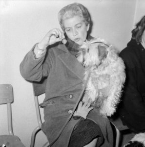 Inenting honden in Amsterdam, met speciale kruispenning, Bestanddeelnr 914-5808