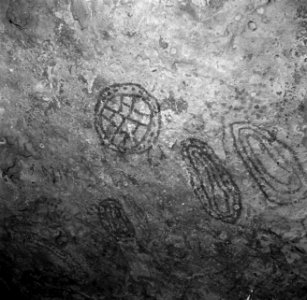 Indiaanse rotstekeningen in de Boca Spelonk op Bonaire, Bestanddeelnr 252-8378
