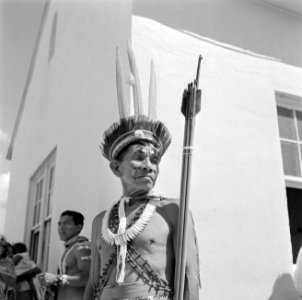 Indiaanse man, Bestanddeelnr 252-4174