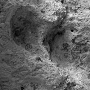 Indiaanse rotstekeningen bij Cero Canashito op Aruba, Bestanddeelnr 252-7944