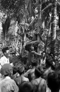 Indonesische jongens klimmen in een paal aangemoedigd door militairen, Bestanddeelnr 7111