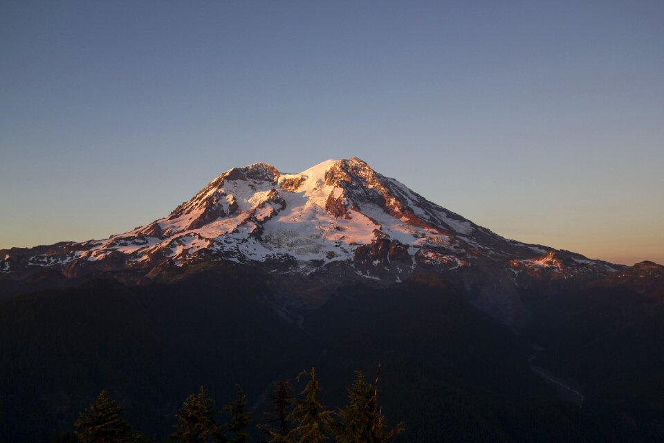 Active dangerous washington