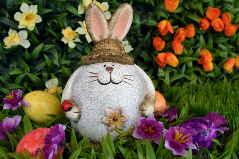 Easter eggs egg spring