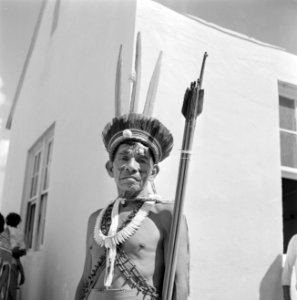 Indiaanse man, Bestanddeelnr 252-4175