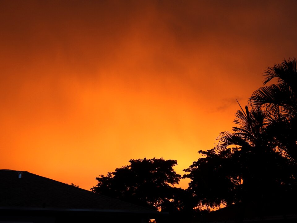 Sunset orange sunlight