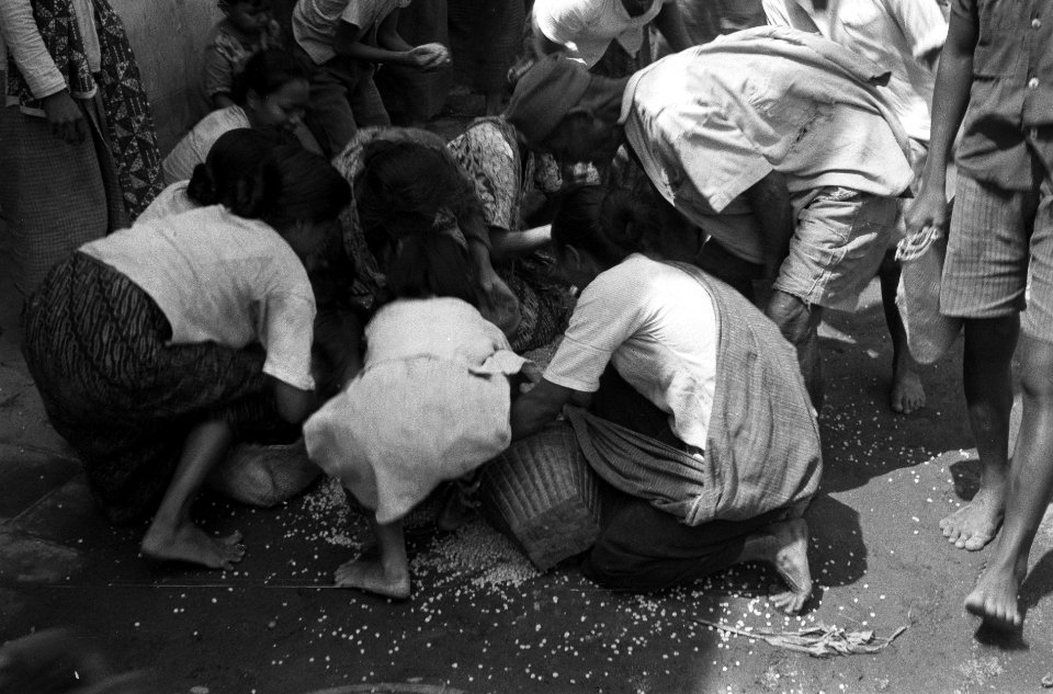 Indonesische vrouwen en kinderen buigen zich over over de grond uitgestrooide ri, Bestanddeelnr 5422
