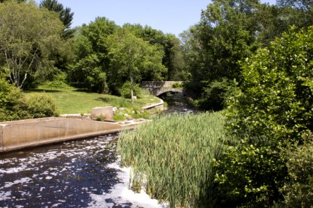 Indian Head River - 07 - Bridge