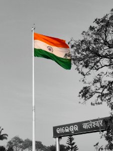 Indian Flag - Color Pop photo