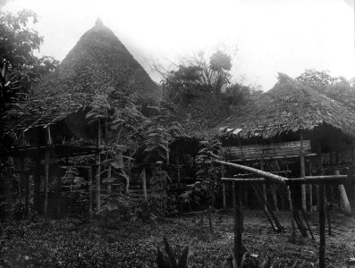 Indianhus. Nr. Neg.917, Sk. 3454. Chocó. Colombia - SMVK - 004203