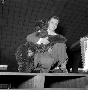 Internationale Winnertentoonstelling Cynophilia Blue Knight . Terrier winnaar, Bestanddeelnr 905-7272