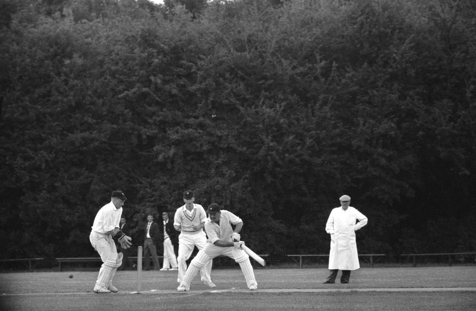 Interland cricketwedstrijd Nederland tegen Denemarken te Amstelveen, Bestanddeelnr 910-5503