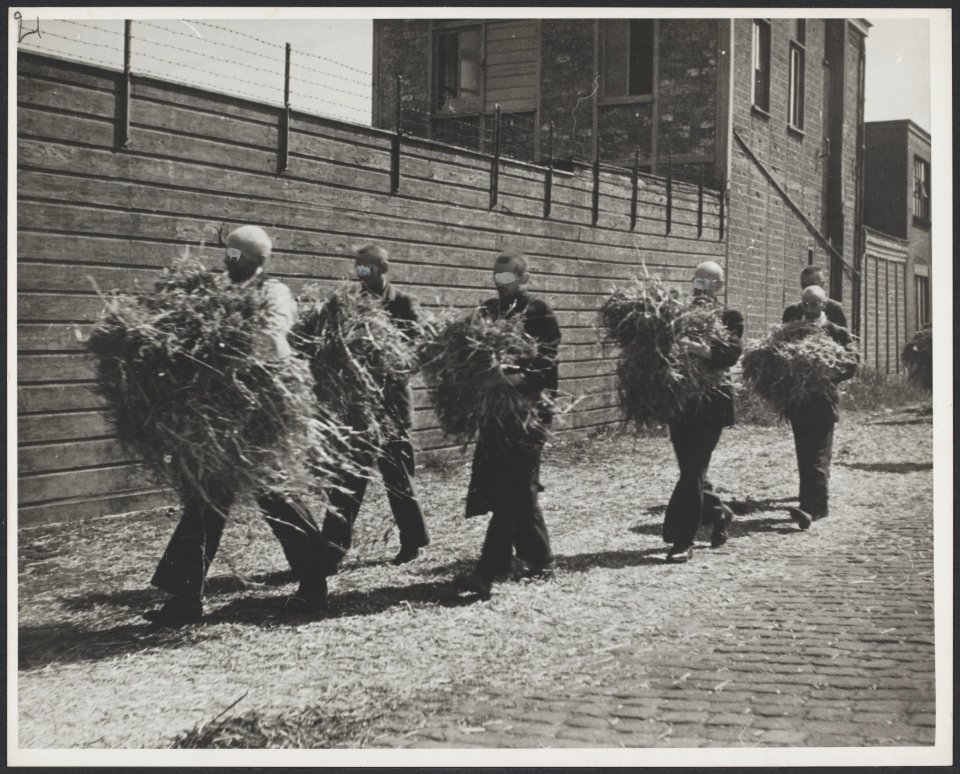 Interneringskamp Levantkade te Amsterdam. Mannen halen hooi voor slaapplaatsen, Bestanddeelnr 31017 092