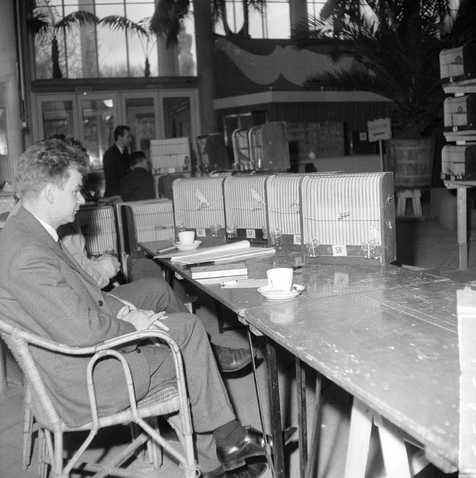 Internationale vogeltentoonstelling in Riverehal te Rotterdam aanstaande 22 janu, Bestanddeelnr 917-3495