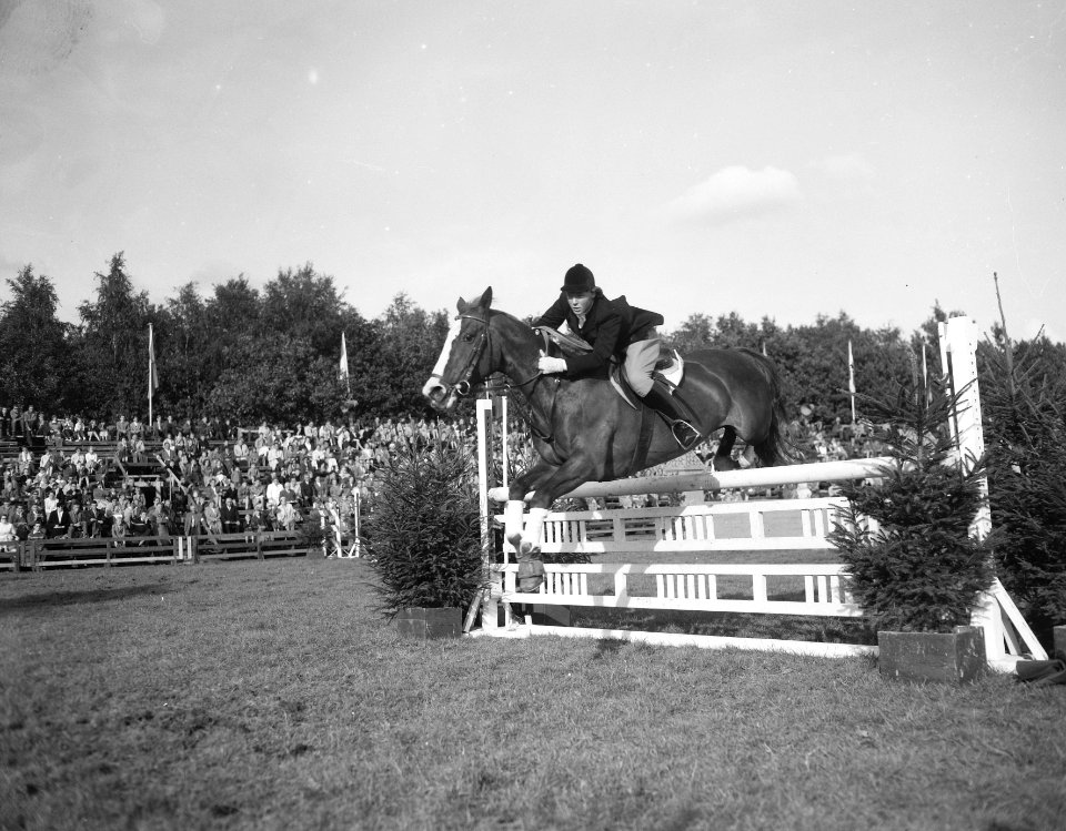 Internationaal Concours Hippique CHIO Rotterdam Prinses Irene, Bestanddeelnr 907-9687