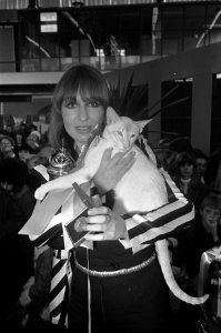 Inter-Kat 1973 in de RAI, Liesbeth List met mooiste kat, Bestanddeelnr 926-7614