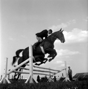 Internationaal Concours Hippique Zwolle, Bestanddeelnr 902-3041
