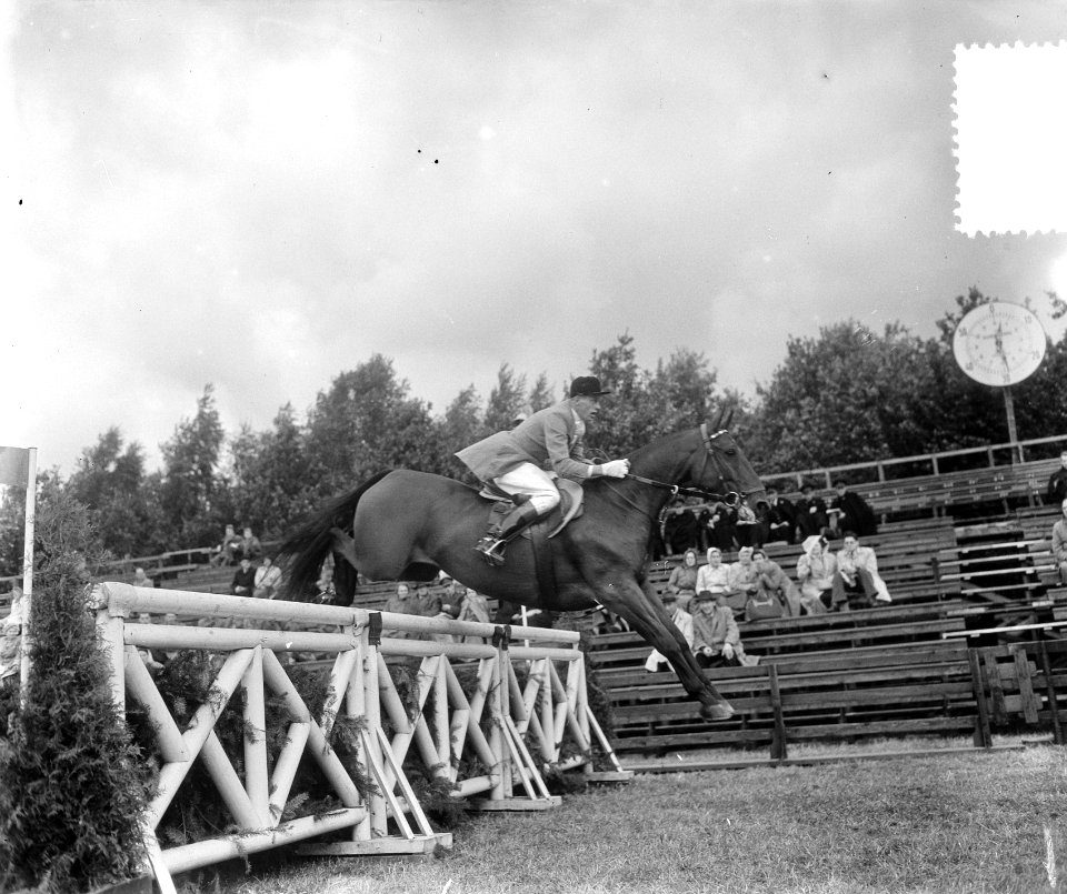 Internationaal Concours Hippique Rotterdam, W. Schmidt , Duitsland, Bestanddeelnr 905-9290