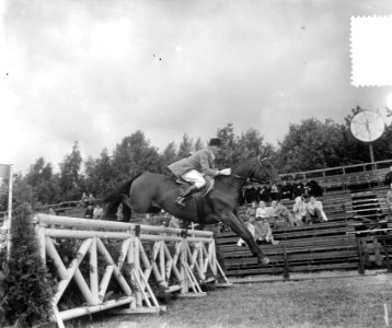 Internationaal Concours Hippique Rotterdam, W. Schmidt , Duitsland, Bestanddeelnr 905-9290