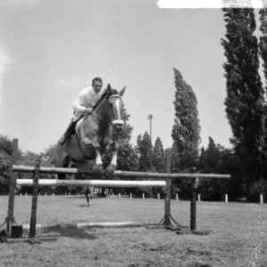 Internationaal Concours Hippique te Enschede, Anton Ebben op Nabab, Bestanddeelnr 917-9017