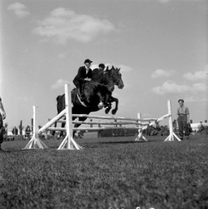 Internationaal Concours Hippique Zwolle, Bestanddeelnr 902-3043