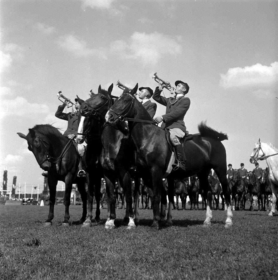Internationaal Concours Hippique Zwolle, Bestanddeelnr 902-3045