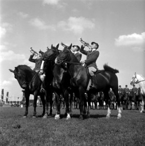 Internationaal Concours Hippique Zwolle, Bestanddeelnr 902-3045