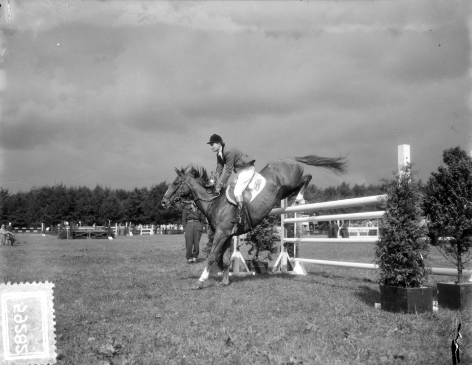 Internationaal Concours Hippique Rotterdam, mevrouw M. Marshall , Engeland, Bestanddeelnr 905-9282
