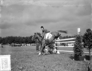 Internationaal Concours Hippique Rotterdam, mevrouw M. Marshall , Engeland, Bestanddeelnr 905-9282