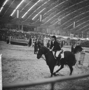 Internationaal Concours Hippique in RAI. De Duitser H. G. Winkler op Romanus, Bestanddeelnr 915-6968
