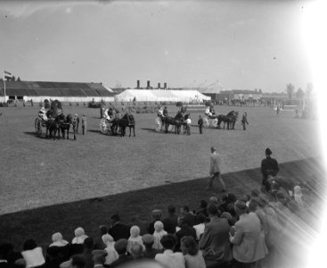 Internationaal Concours Hippique Zwolle, Bestanddeelnr 902-3049