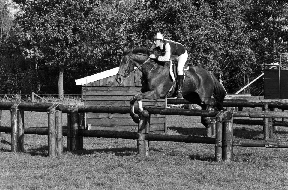 Internationale Military te Boekelo, Eddy Stibbe, de beste Nederlander in aktie, Bestanddeelnr 931-1060