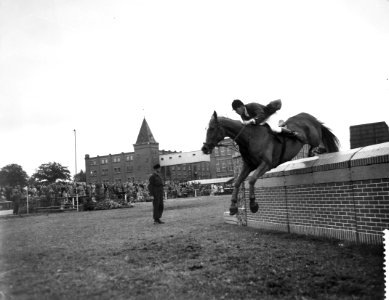 Internationaal concours hippique te Enschede, Bestanddeelnr 909-6522