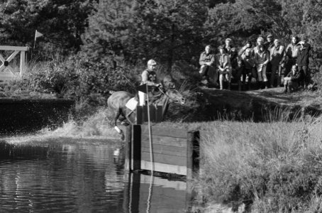 Internationale Military te Boekelo, paarden in aktie, Bestanddeelnr 931-1065
